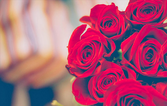 Red Roses Meaning