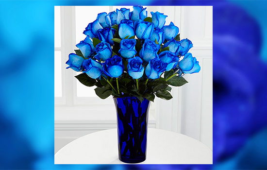 The Blue Roses