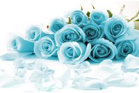 You must know Detail Blue Roses Meaning