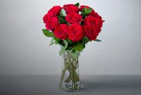 12 Red Roses Meaning
