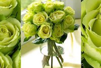 Green Rose Meaning