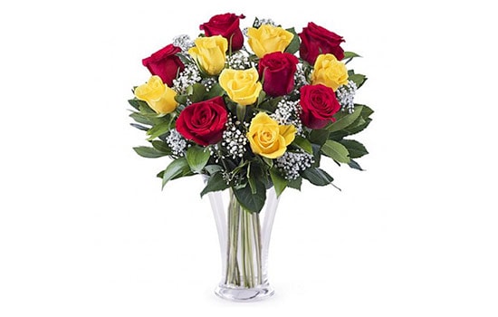 Red and Yellow Roses Meaning and Their Significance