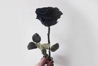What Does A Black Rose Mean