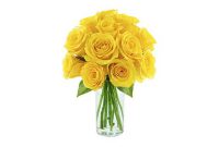 Yellow Rose Symbolism