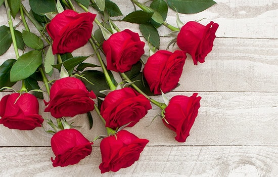 10 Red Roses Meaning