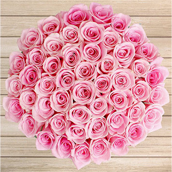 Light pink roses meaning