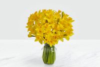 Daffodil roses