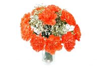 Orange flower meanings
