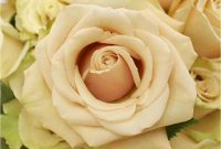 Significance of Cream Colored Flowers