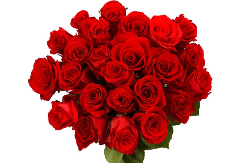Loving Symbols of Valentine Day with flower