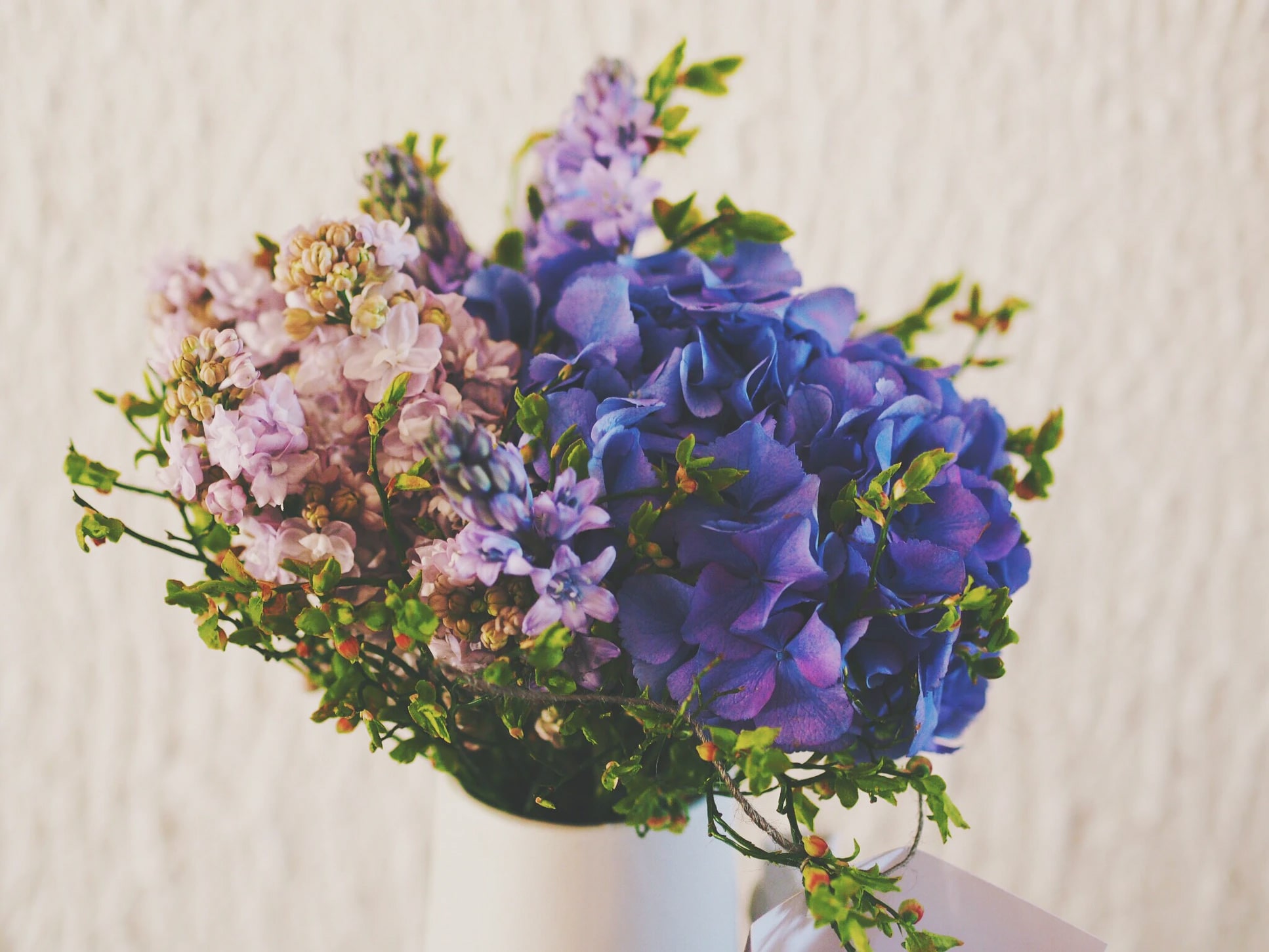 Meaning Behind Violets Flower