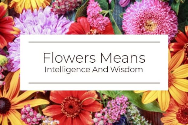 Flowers Mean Intelligence And Wisdom