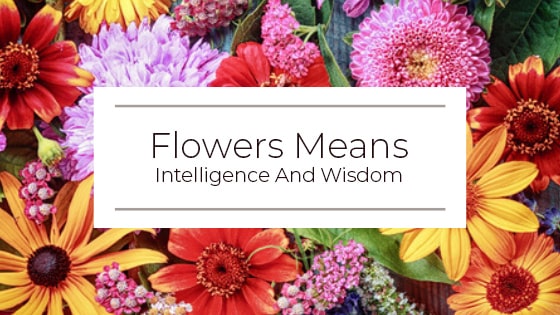 Flowers Mean Intelligence And Wisdom
